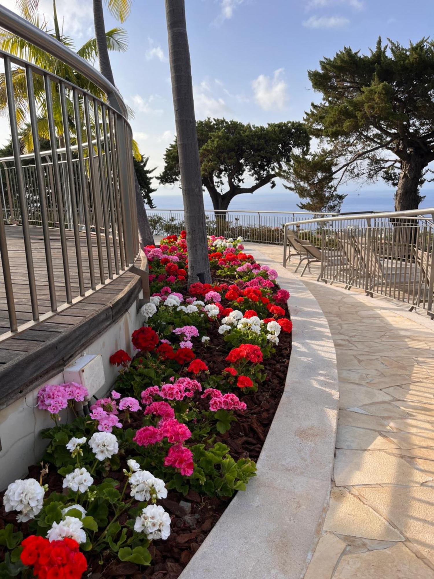 Hotel Quinta Funchal Gardens - Adults Only Esterno foto
